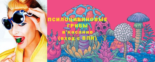ПСИЛОЦИБИНОВЫЕ ГРИБЫ Пересвет