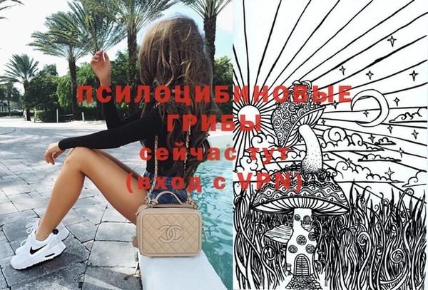прущие грибы Пестово