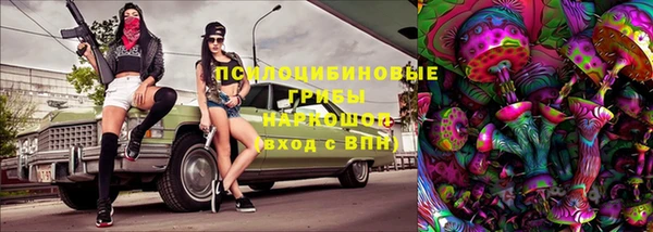 apvp Алексеевка